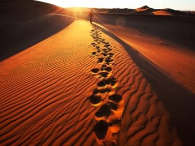 Explore the sand dunes beyond Swakopmund