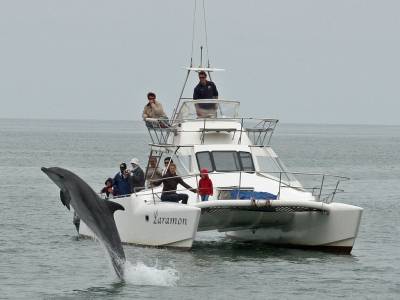 Taking a Cruise in the Wlavis Bay Lagoon